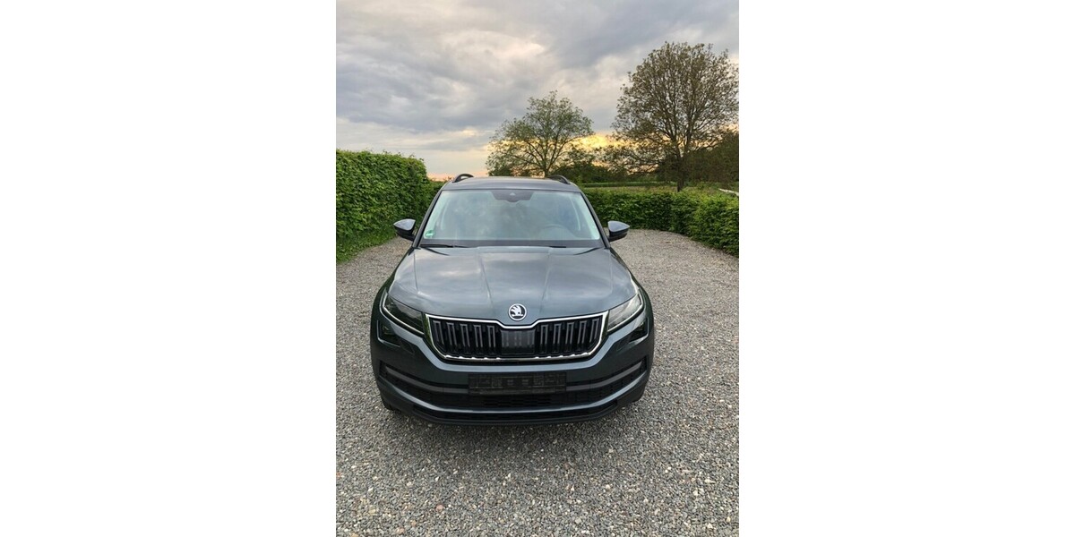Skoda Kodiaq 41.000 km 34.599 &euro; Offenburg 77652