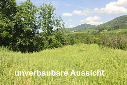 Grundstück Sasbach - 269.500&euro; | Angebot:25736436