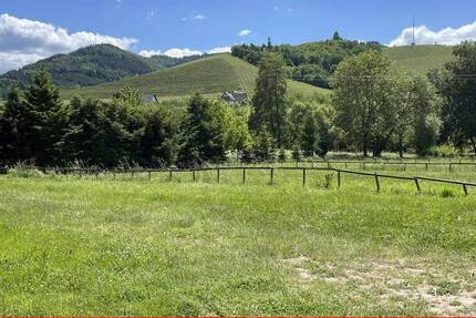 Grundstück Durbach - 550.000&euro; | Angebot:25939461