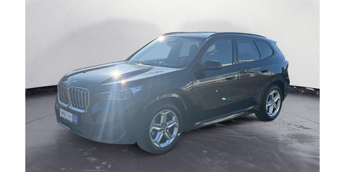 BMW X1 29.830 km 41.720 &euro; Lahr 77933