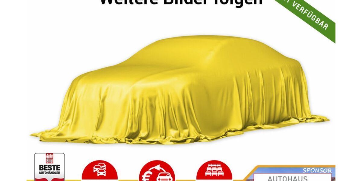 Renault Scenic 76.400 km 19.288 &euro; Kehl 77694