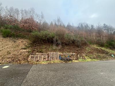 RUHIG UND NATURNAH MIT POSTKARTENPANORAMA - Grundstück Wolfach | Angebot:26543701
