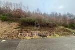 RUHIG UND NATURNAH MIT POSTKARTENPANORAMA - Grundstück Wolfach | Angebot:26543701
