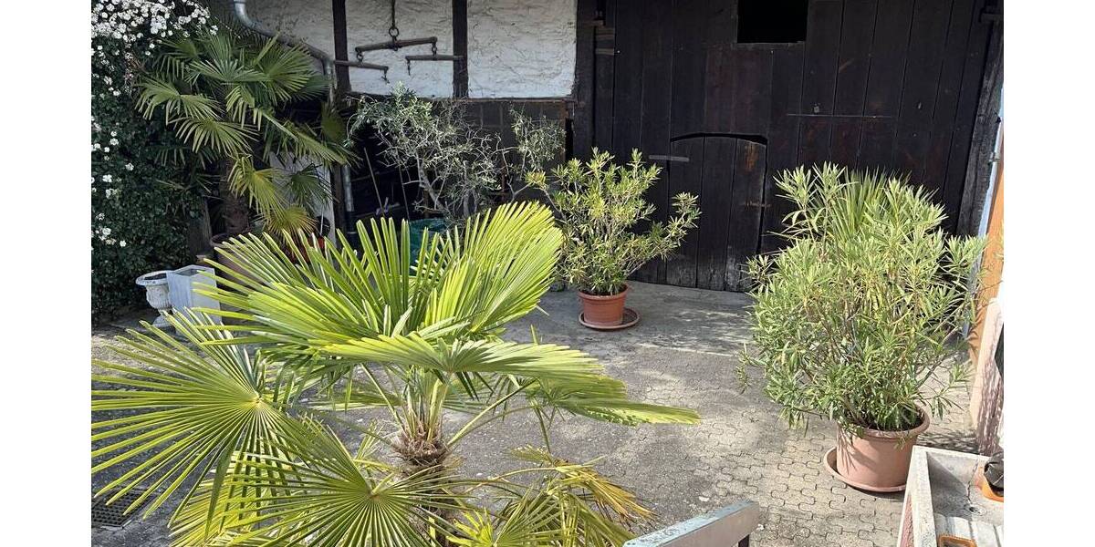 Mehrfamilienhaus, Wohnhaus Schwanau Nonnenweier - 4 Zimmer, 120 m&sup2;, 288.000&euro; | Angebot:25916078