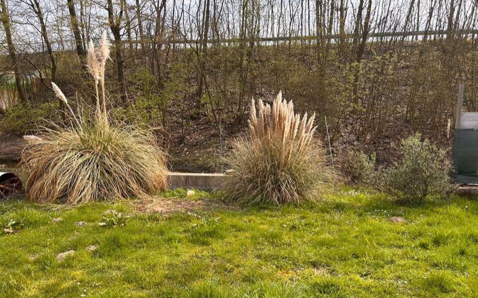 Einfamilienhaus Willstätt - 4 Zimmer, 99 m&sup2;, 450.000&euro; | Angebot:26145066