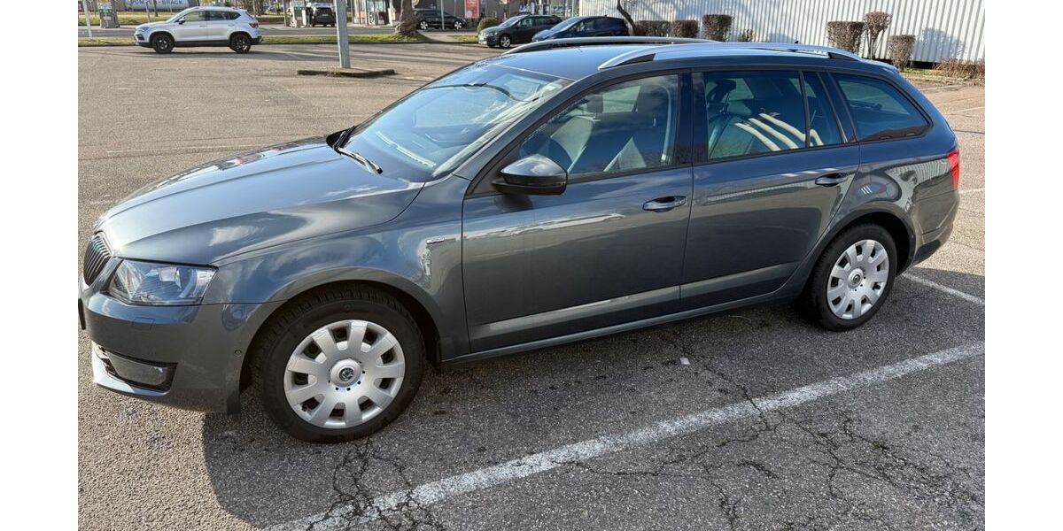 Skoda Octavia 266.000 km 7.600 &euro; Ortenberg 77799