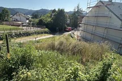 MIT AUSSICHT IN DEN SCHWARZWALD - Grundstück Gengenbach | Angebot:26543808