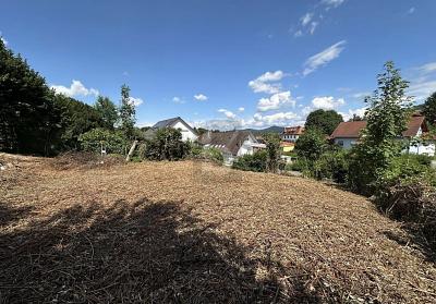 TOP-LAGE MIT GENEHMIGTER BAUPLANUNG - Grundstück Friesenheim | Angebot:27329269