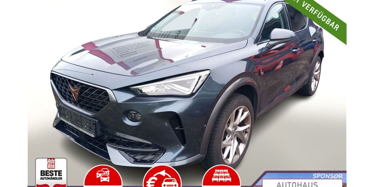 Cupra Formentor 42.000 km 22.488 &euro; Kehl 77694