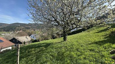 IDYLLE IN NATUR UND STADT - Grundstück Bühlertal | Angebot:26788027