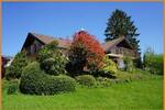Einfamilienhaus Zell am Harmersbach Zell - 8 Zimmer, 222 m&sup2;, 769.000&euro; | Angebot:26816491