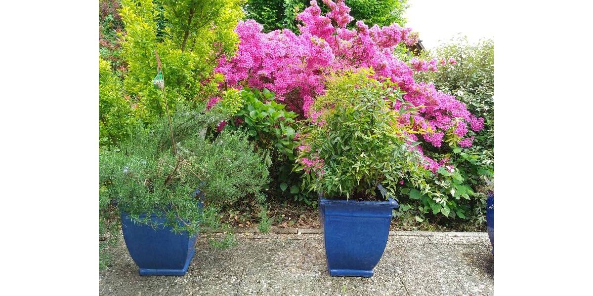 Einfamilienhaus Ortenberg - 5 Zimmer, 200 m&sup2;, 695.000&euro; | Angebot:25701461