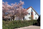 RUHIGES INVESTMENT-JUWEL AM EUROPA-PARK - Mehrfamilienhaus, Wohnhaus Rust | Angebot:27233931