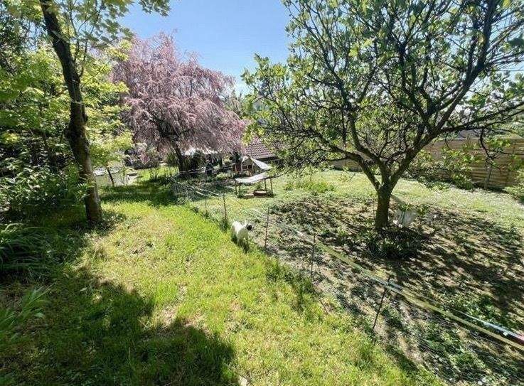 Mehrfamilienhaus, Wohnhaus Kippenheim Schmieheim - 1 Zimmer, 270 m&sup2;, 699.000&euro; | Angebot:26704259