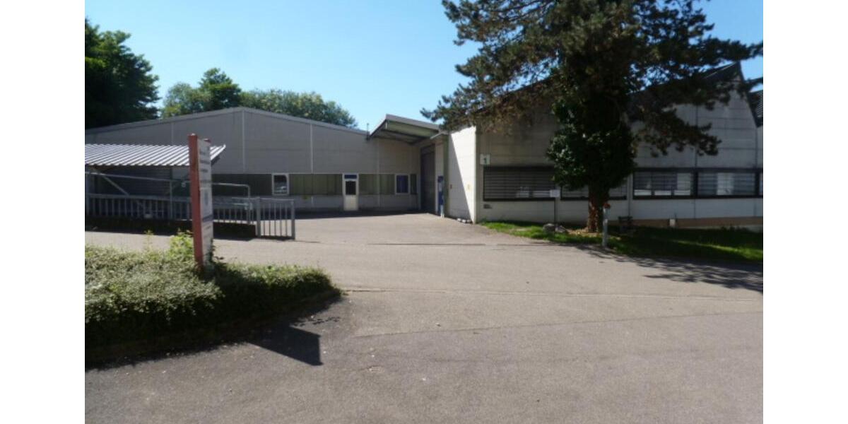 Gewerbeobjekt Sasbach - 6&euro; | Angebot:17208248