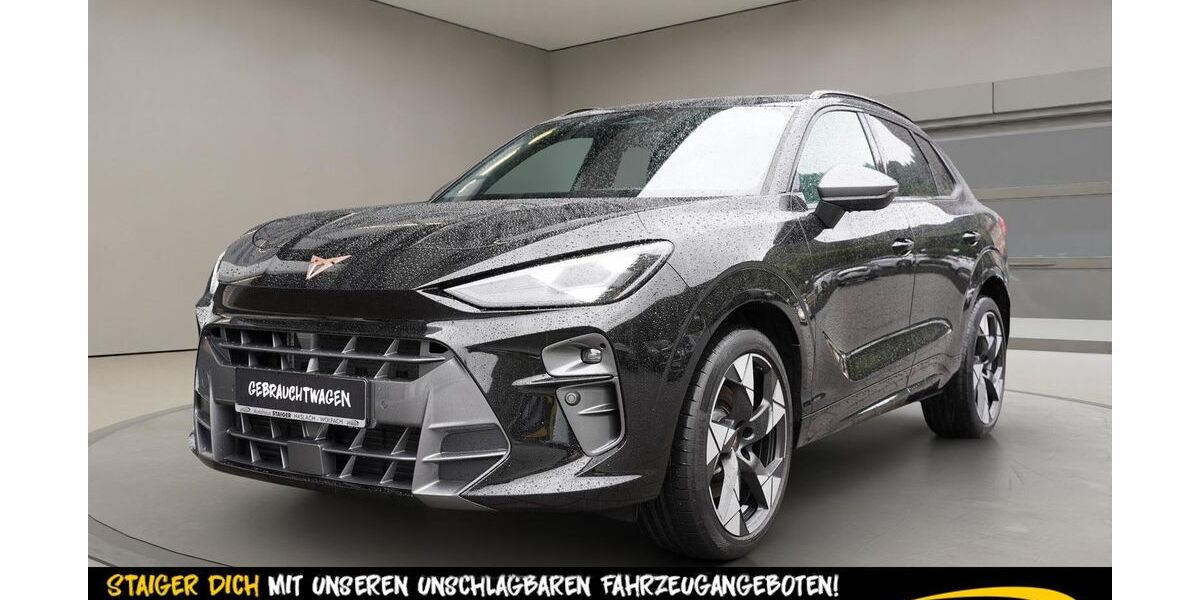 Cupra Terramar 14.947 km 38.850 &euro; Haslach im Kinzigtal 77716