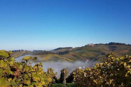 Grundstück Durbach - 495.000&euro; | Angebot:26028100