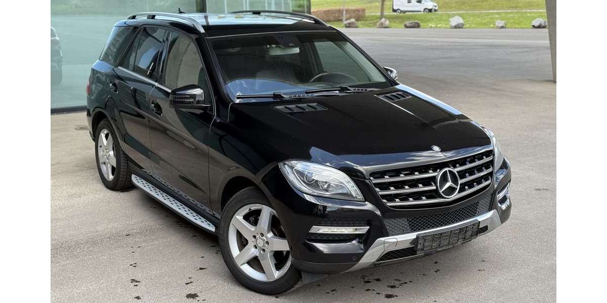 Mercedes-Benz ML 350 199.478 km 24.000 &euro; Offenburg 77654