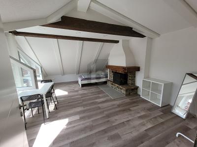 MODERN SANIERT MIT GEMÜTLICHEM KAMINOFEN - Etagenwohnung Offenburg Elgersweier | Angebot:26608988