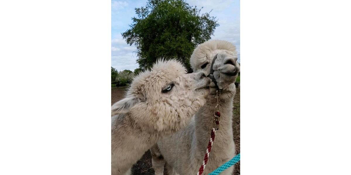 Gewerbeobjekt Neuried - 25&euro; | Angebot:21546900