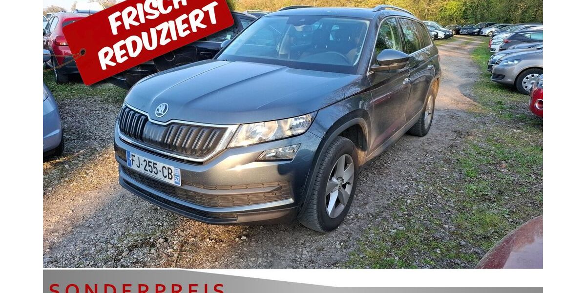 Skoda Kodiaq 256.532 km 13.385 &euro; Achern 77855
