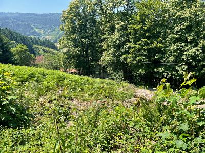 ERSCHAFFEN SIE IHREN WOHNTRAUM IM GRÜNEN - Grundstück Ottenhöfen im Schwarzwald | Angebot:26981928