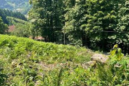 ERSCHAFFEN SIE IHREN WOHNTRAUM IM GRÜNEN - Grundstück Ottenhöfen im Schwarzwald | Angebot:25970986