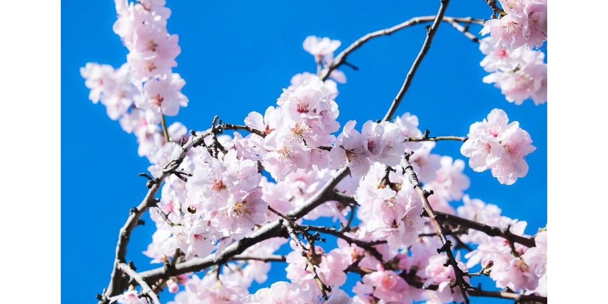 Dachgeschoßwohnung Oberkirch - 3 Zimmer, 91 m&sup2;, 683&euro; | Angebot:25930093