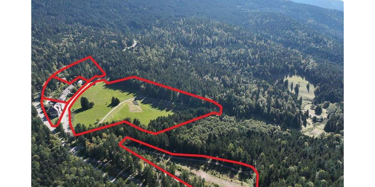 Mehrfamilienhaus, Wohnhaus Sasbachwalden - 7 Zimmer, 2 m&sup2;, 799.000&euro; | Angebot:25740029