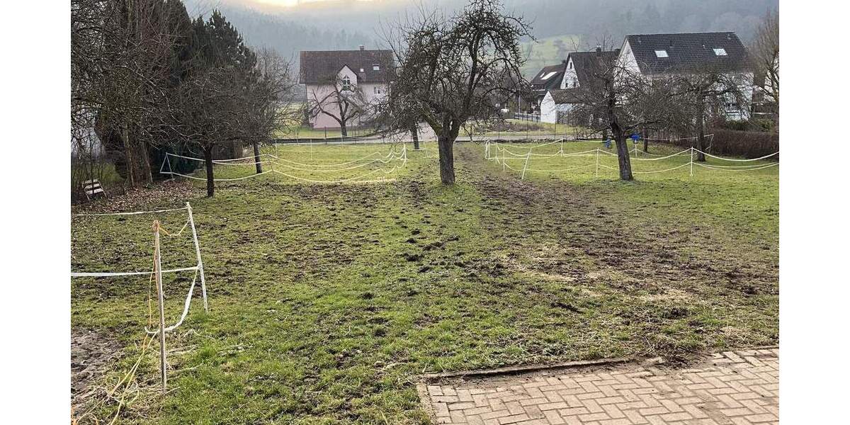 Mehrfamilienhaus, Wohnhaus Lahr Reichenbach - 9 Zimmer, 220 m&sup2;, 625.000&euro; | Angebot:25696771