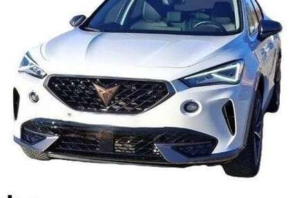 Cupra Formentor 33.109 km 22.930 &euro; Kehl 77694