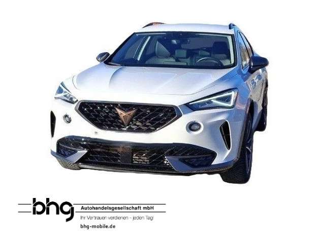 Cupra Formentor 33.109 km 22.930 &euro; Kehl 77694