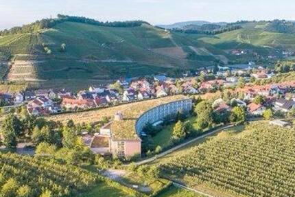 Wohnung Durbach - 2 Zimmer, 42 m&sup2;, 800&euro; | Angebot:26003064