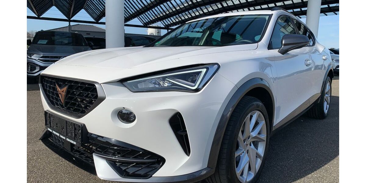 Cupra Formentor 18.801 km 24.500 &euro; Sasbach 77880