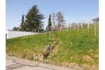 AUSSICHT & LEBENSQUALITÄT - Grundstück Bühlertal | Angebot:27265766