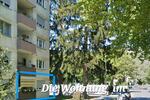 Erdgeschoßwohnung Lahr (Schwarzwald) - 2 Zimmer, 67 m&sup2;, 210.000&euro; | Angebot:25658295