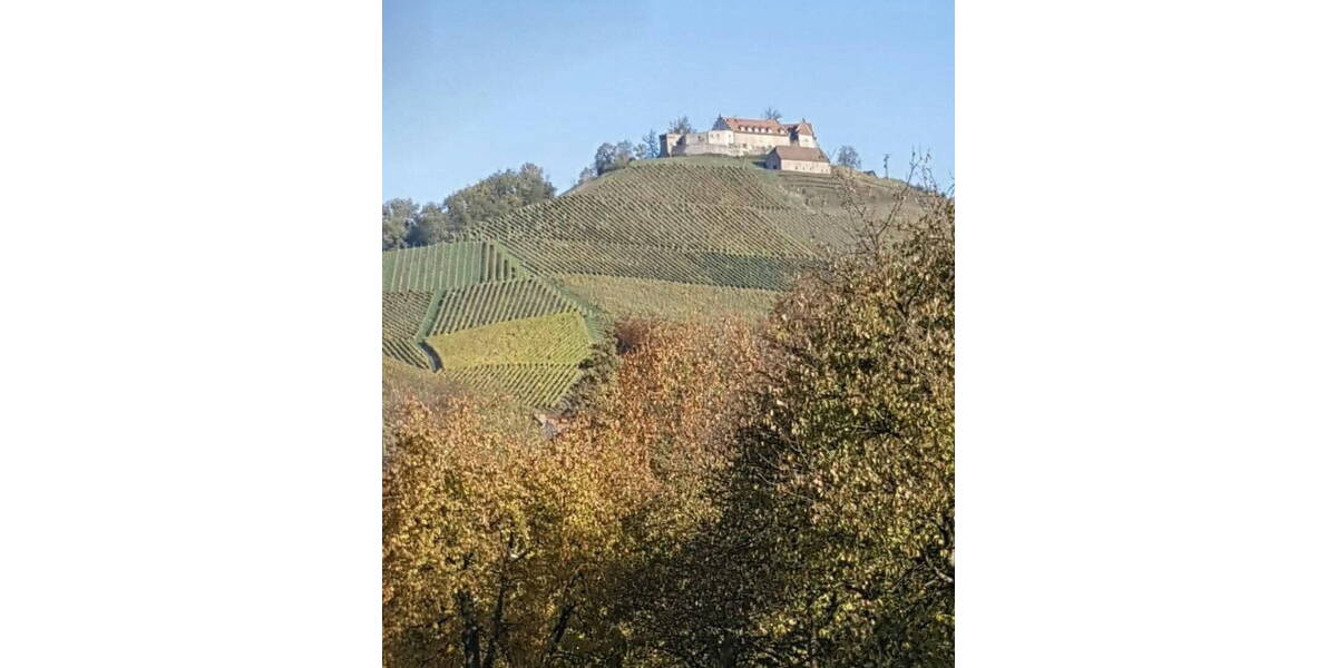 Grundstück Durbach - 495.000&euro; | Angebot:26028100