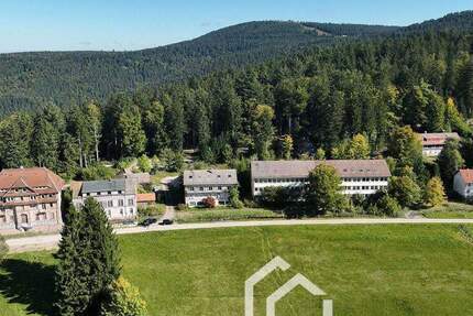 Haus Sasbachwalden - 7 Zimmer, 2 m&sup2;, 799.000&euro; | Angebot:25740029