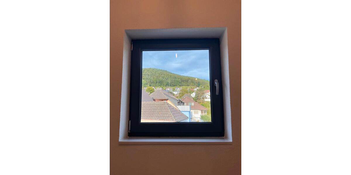 Dachgeschoßwohnung Lahr (Schwarzwald) - 1.5 Zimmer, 53 m&sup2;, 700&euro; | Angebot:26034145