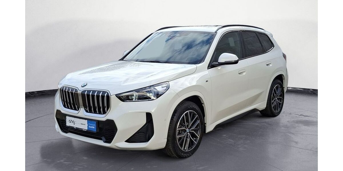 BMW X1 6.176 km 38.620 &euro; Achern 77855