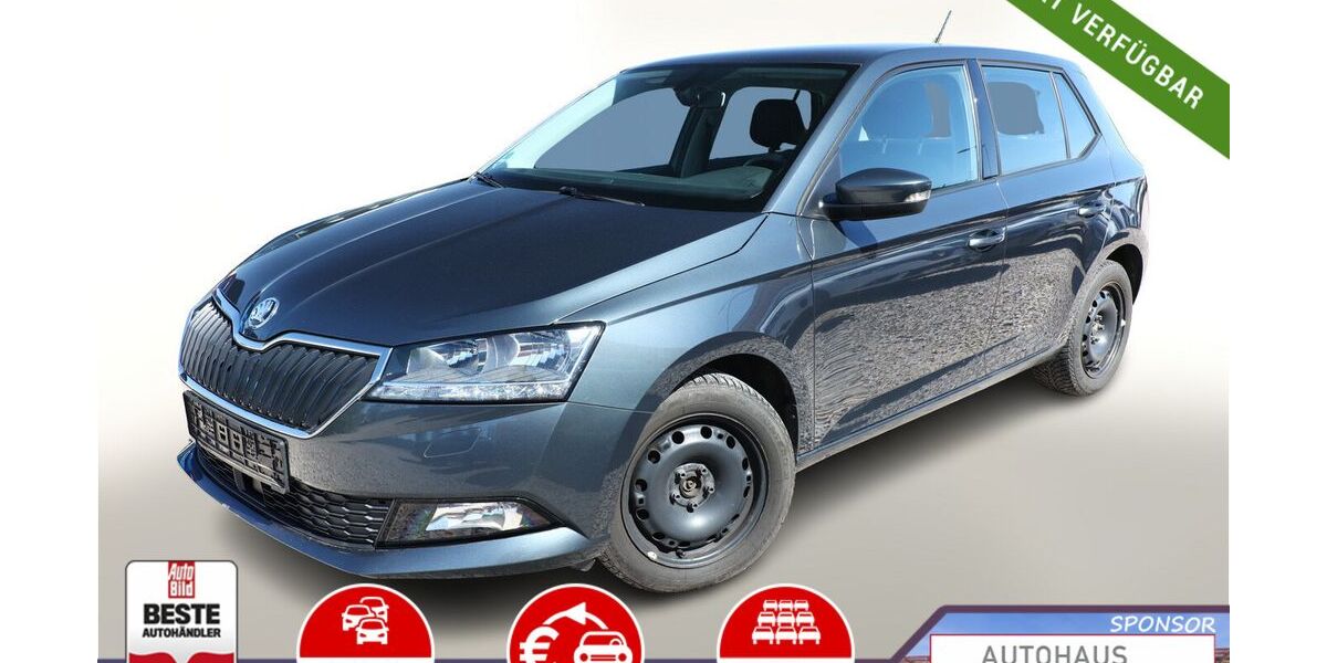 Skoda Fabia 66.900 km 13.488 &euro; Kehl 77694