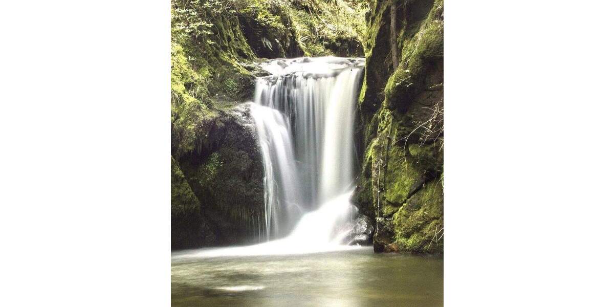 Etagenwohnung Oberkirch Tiergarten - 3 Zimmer, 90 m&sup2;, 683&euro; | Angebot:25659137