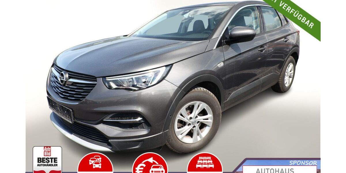 Opel Grandland (X) 73.350 km 15.488 &euro; Kehl 77694