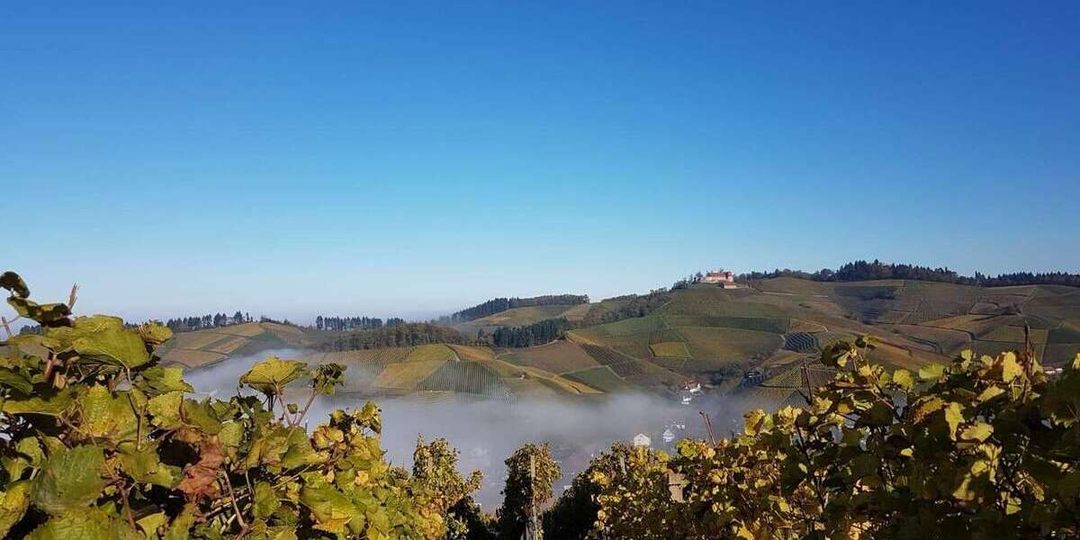 Grundstück Durbach - 495.000&euro; | Angebot:26032517