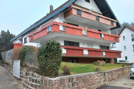 Wohnung Friesenheim - 2.5 Zimmer, 308&euro; | Angebot:25025841