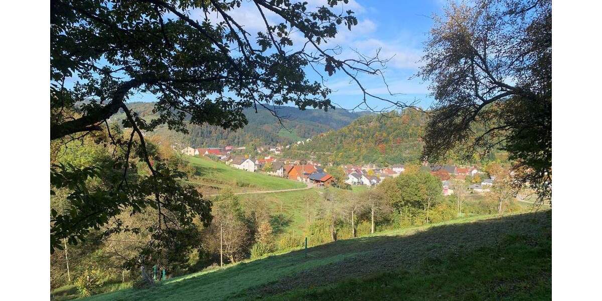 Mehrfamilienhaus, Wohnhaus Oppenau - 675.000&euro; | Angebot:25662414