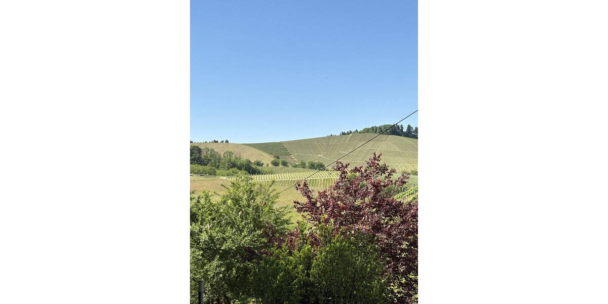 Mehrfamilienhaus, Wohnhaus Oberkirch / Bottenau Bottenau - 1 Zimmer, 296 m&sup2;, 595.000&euro; | Angebot:26040840