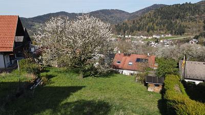 IDYLLE IN NATUR UND STADT - Grundstück Bühlertal | Angebot:27247101