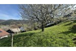 IDYLLE IN NATUR UND STADT - Grundstück Bühlertal | Angebot:27247101