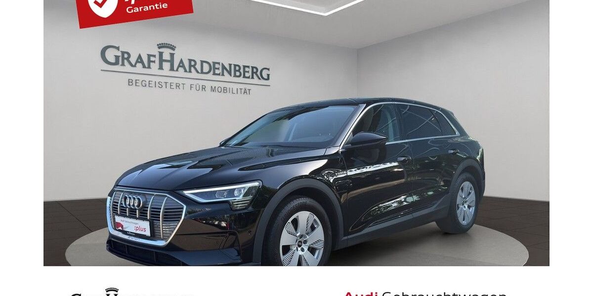 Audi e-tron 31.200 km 28.555 &euro; Lahr 77933